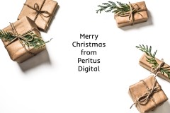Peritus Digital Christmas Opening Hours