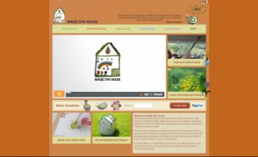 Magic Dye House Website Screenshot