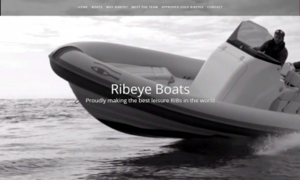 Ribeye Website SEO