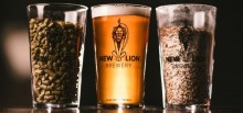 New Lion Brewery testimonial for The Business Guru